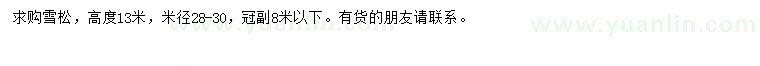 求購高13米雪松