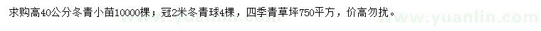 求購冬青小苗、冬青球、四季青草坪