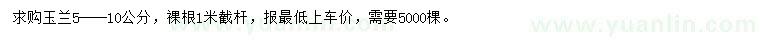 求購5-10公分玉蘭