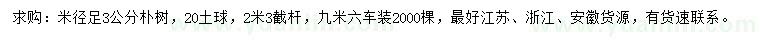 求購米徑3公分樸樹