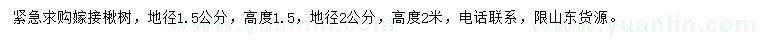 求購地徑1.5、2公分嫁接楸樹