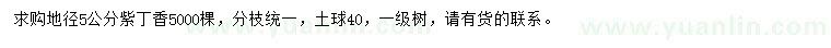 求購(gòu)地徑5公分紫丁香