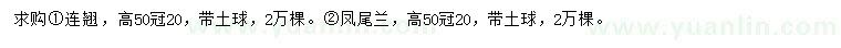 求購高50公分連翹、鳳尾蘭