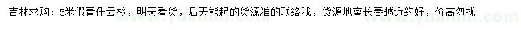 求購(gòu)5米假青仟云杉
