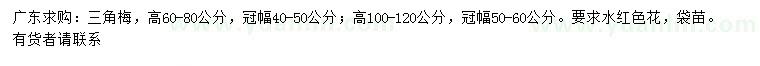 求購高60-80、100-120公分三角梅