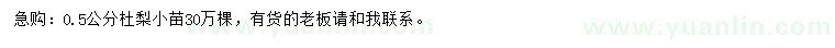 求購0.5公分杜梨小苗