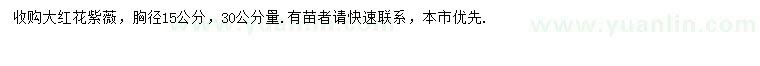 求購(gòu)30公分量15公分大紅花紫薇