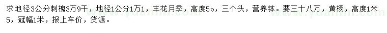 求購刺槐、豐花月季、黃楊