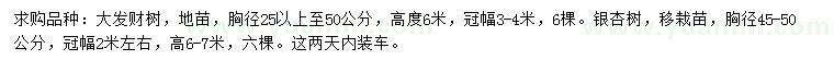 求購胸徑25-50公分發(fā)財樹、45-50公分銀杏