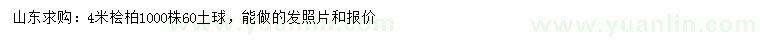 求購4米檜柏