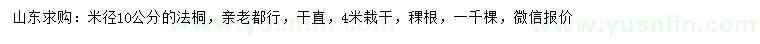 求購米徑10公分法桐