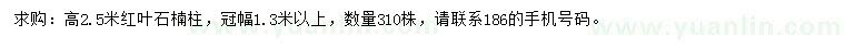 求購高2.5米紅葉石楠柱