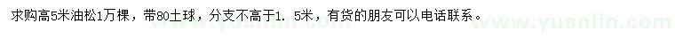 求購(gòu)高5米油松
