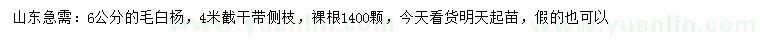 求購6公分毛白楊
