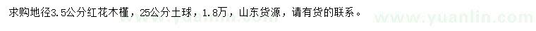 求購地徑3.5公分紅花木槿