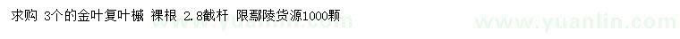 求購3公分金葉復葉槭