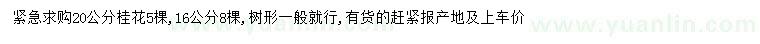 求購16、20公分桂花