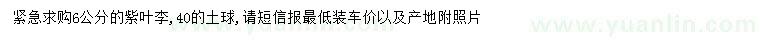 求購6公分紫葉李