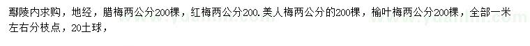 求購臘梅、紅梅、美人梅等