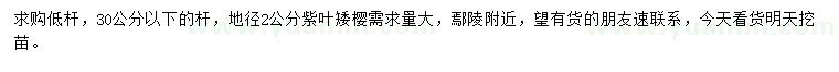 求購(gòu)地徑2公分紫葉矮櫻