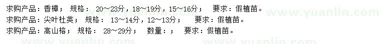 求購香樟、尖葉杜英、高山榕