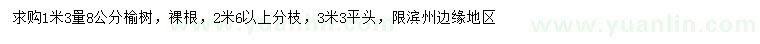 求購1.3米量8公分榆樹