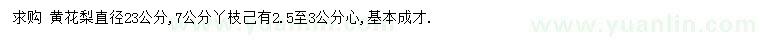求購(gòu)直徑23公分黃花梨
