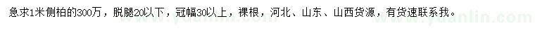 求購1米側柏
