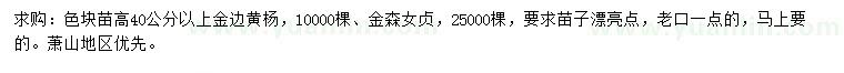 求購高40公分以上金邊黃楊、金森女貞小苗