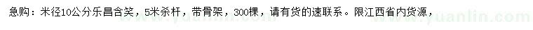 求購米徑10公分樂昌含笑