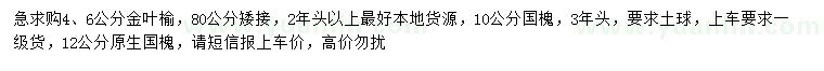 求購4、6公分金葉榆、10、12公分國槐