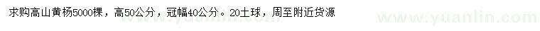 求購高50公分高山黃楊