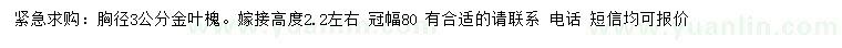 求購胸徑3公分金葉槐