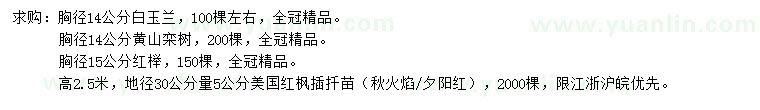 求購(gòu)白玉蘭、黃山欒樹、美國(guó)紅楓插扦苗