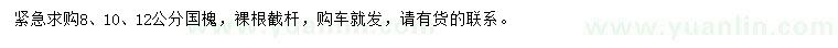 求購8、10、12公分國槐