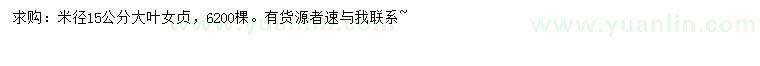 求購米徑15公分大葉女貞