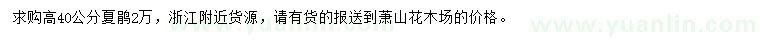 求購高40公分夏鵑