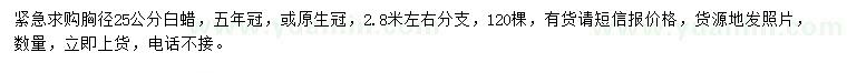 求購胸徑25公分白蠟
