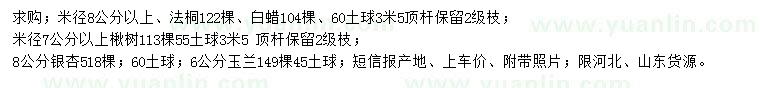 求購(gòu)法桐、白蠟、楸樹(shù)等