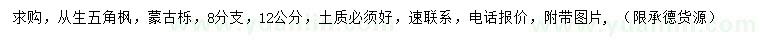 求購12公分從生五角楓、蒙古櫟
