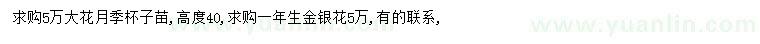 求購(gòu)高40公分大花月季、1年生金銀花