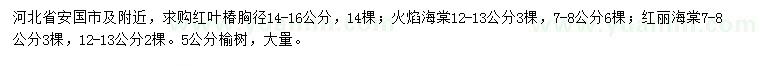 求購紅葉椿、火焰海棠、紅麗海棠等