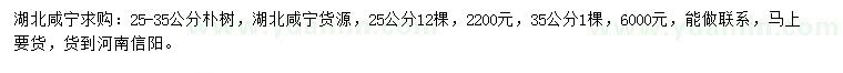 求購25-35公分樸樹