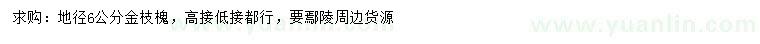 求購(gòu)地徑6公分金枝槐