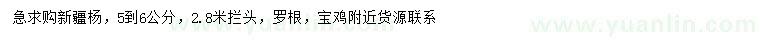 求購(gòu)5-6公分新疆楊