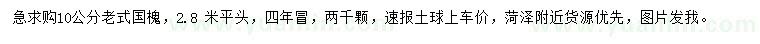 求購10公分老式國槐