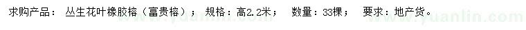 求購高2.2米花葉橡膠榕