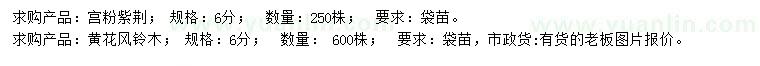 求購6公分宮粉紫荊、黃花風(fēng)鈴木