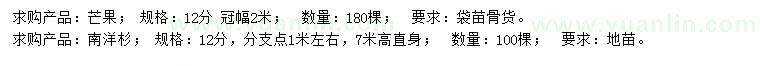 求購12公分芒果、南洋杉