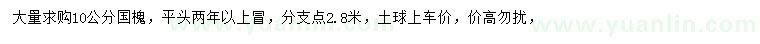求購10公分國槐